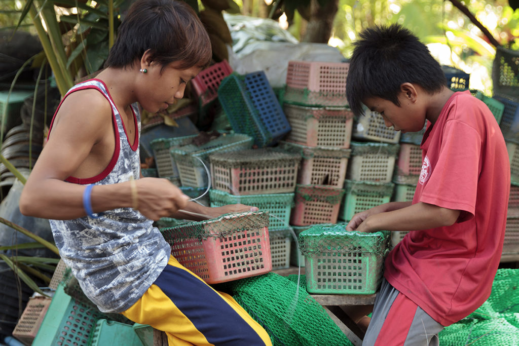 Even children help in making these crab nests