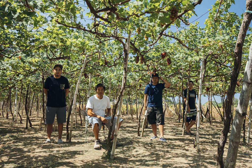 Danny (second from left) and Joe (third from left) Gapuz are two of the many siblings who grew up on income from grape farming