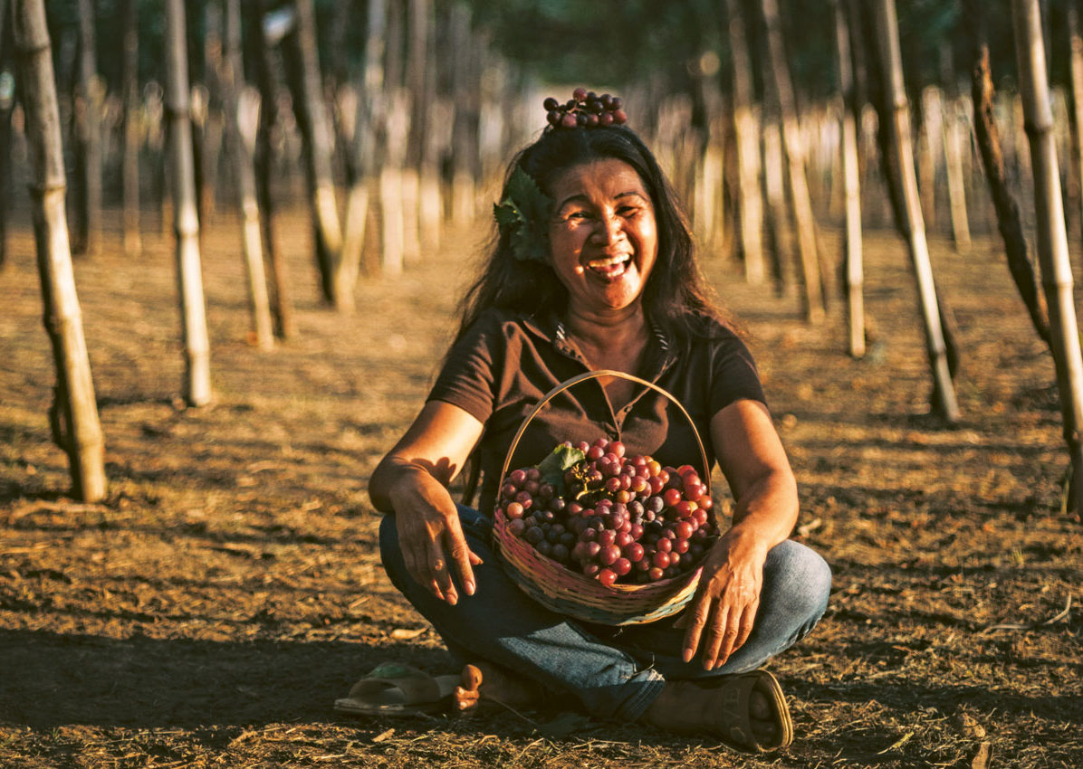 A walk-in farm guest and her basket of fruits