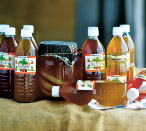 Kombucha may brim with benefits, but its taste can polarize