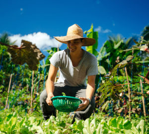 Former Agriculture Undersecretary Berna Romulo-Puyat continues to disrupt tradition by making farming more attractive to millennials