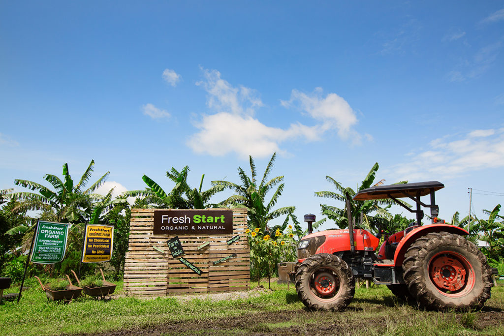 Fresh Start Organic Farm is one of the members of the Organic Na Negros! Organic Producers and Retailers Association