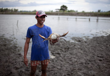 Sustainable aquaculture is the kind of practice the Philippines needs right now