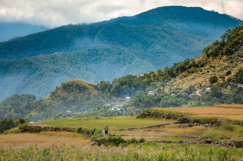 The scenic heirloom rice fields of Cordillera