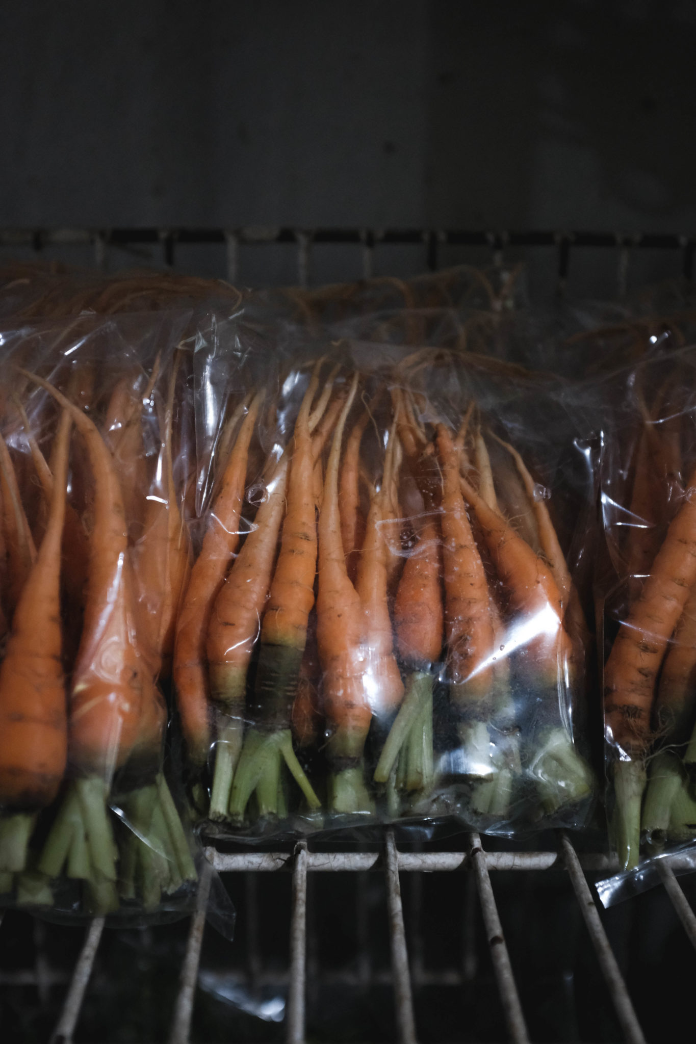 Organic carrots from Malipayon Farms
