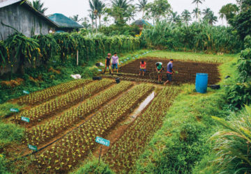 Aside from additional income, agritourism can bring more sustainable and inclusive development to the countryside
