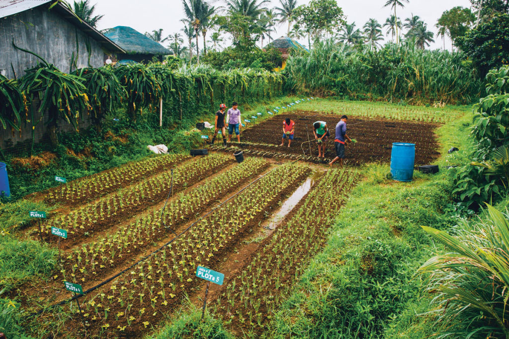 agri tourism development in the philippines