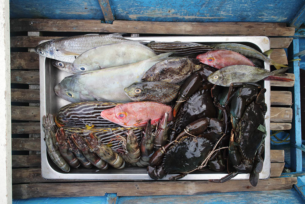 Fresh catch from Coron locals are normally peddled to resorts like Club Paradise Palawan