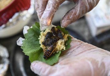 Fried cicadas are rolled into a sushi roll by chef Bun Lai at Fort Totten Park in Washington, DC on May 23, 2021