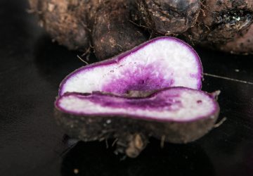 Ube, or ubi as the people of Bohol call it, is also internationally known as purple yam