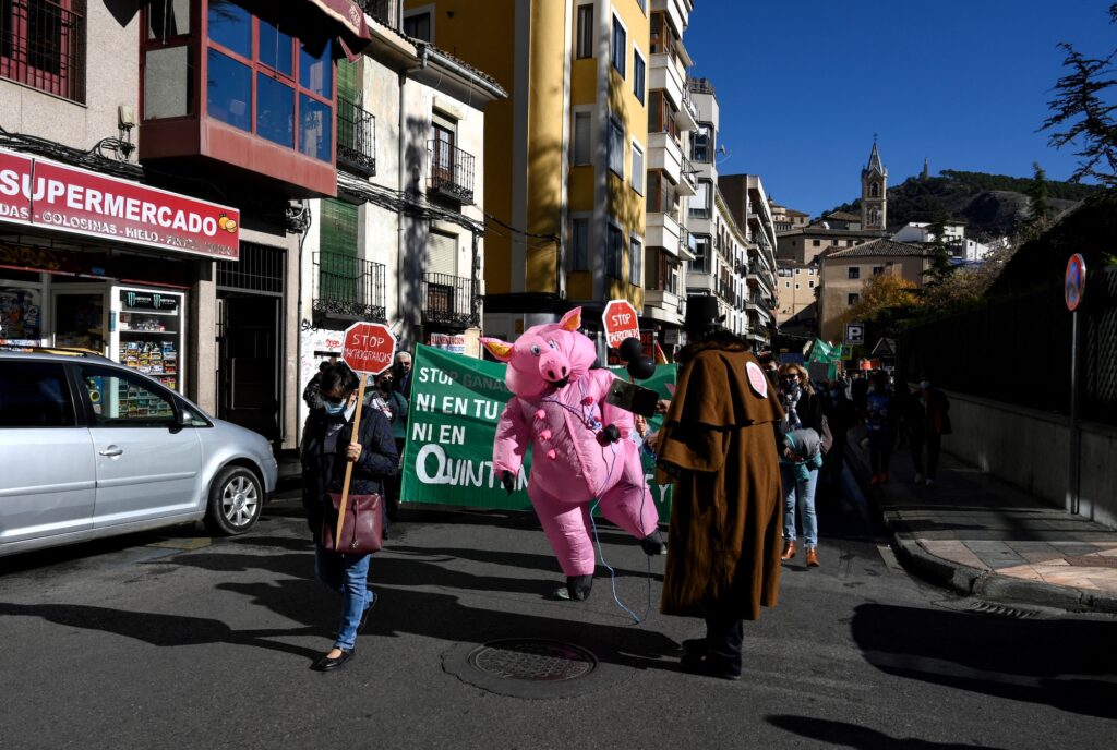 A protester wearing an inflatable pig costume takes part in a demonstration