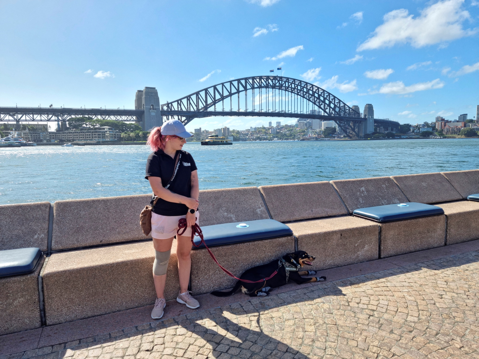 Australian kelpie dog Rasy and Mad Dogs and Englishmen dog handler Carla Shoobert take a break after patroling for seagulls at Sydney’s Opera Bar
