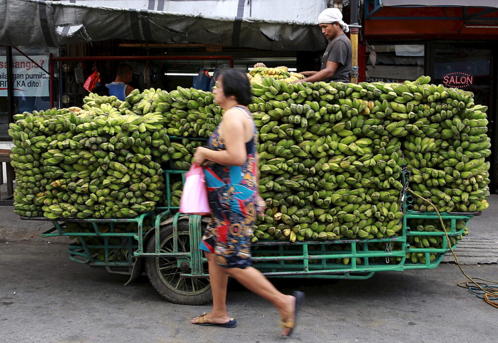 Philippine banana growers plead for Japanese consumers to bear price ...