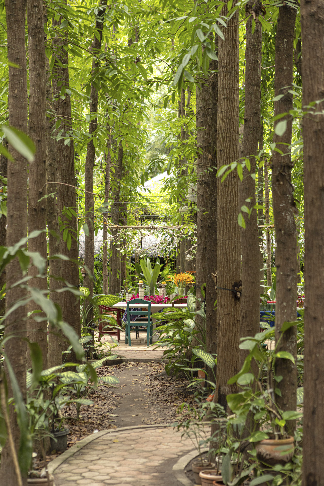 The path leading to the clearing in the center where the main Balé dining area is located