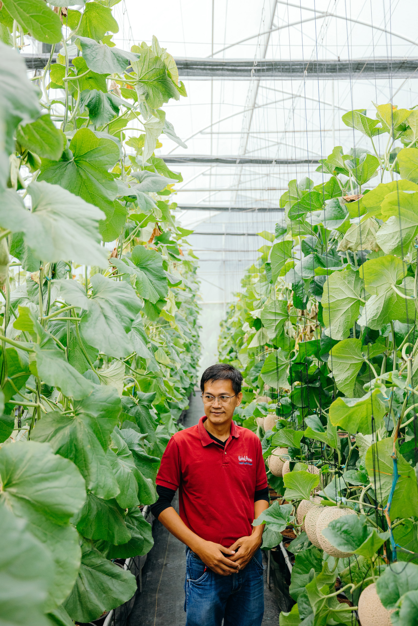 As an agriculturist, Michael Caballes’ expertise includes greenhouse production, high-value crop production, farm systems, and farm operations management