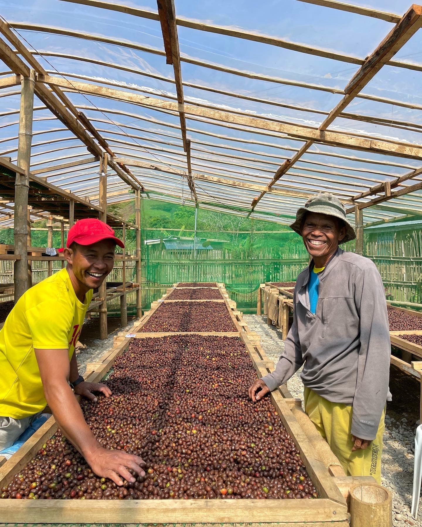 Farmers in Sitio San Roque share a laugh as they prepare the cherries for dry processing