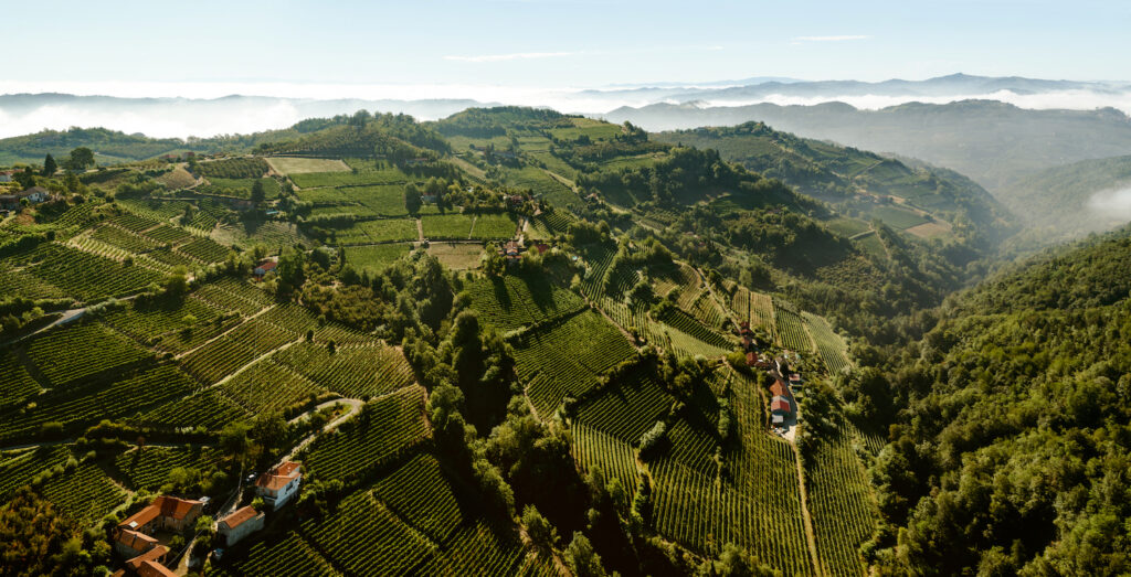The Vineyard Landscape of Langhe-Roero and Monferrato is perhaps one of the most important winemaking spots