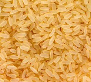 Is the cultivation of traditional rice grains more sustainable and more reliable?