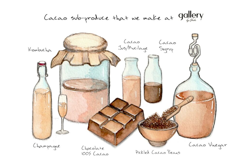 An illustrated process of how Gallery by Chele wields and utilizes cacao 